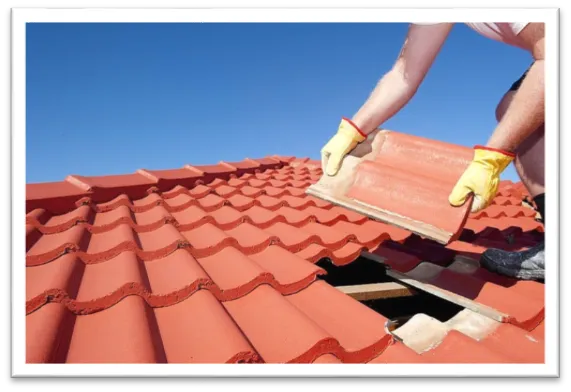 Manutenção de Telhados